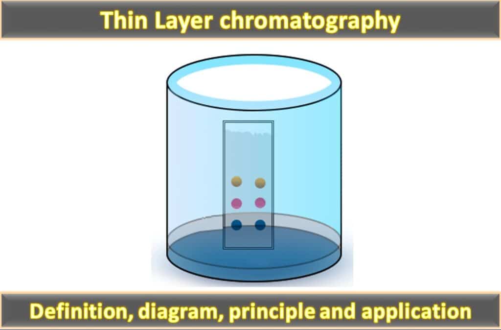 Thin Layer Chromatography THE INSTRUMENT GURU