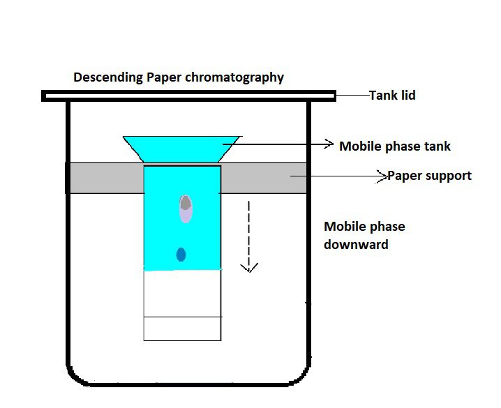 descending paper chromatography
