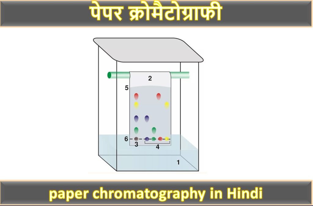 Paper Chromatography In Hindi The Instrument Guru