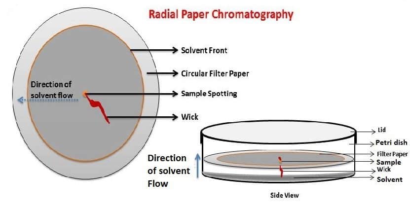 radial paper chromatography