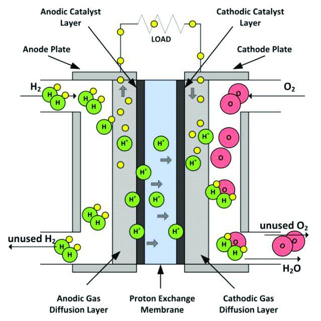 proton exchange fuel cell