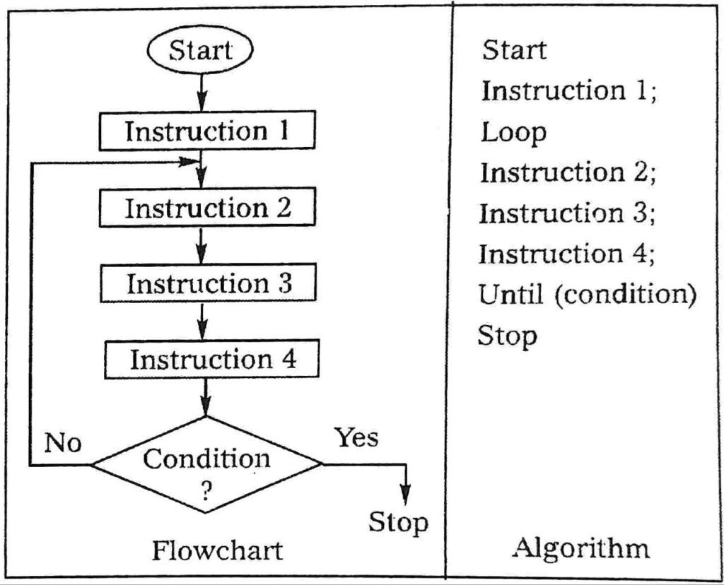flowchart and algorithm